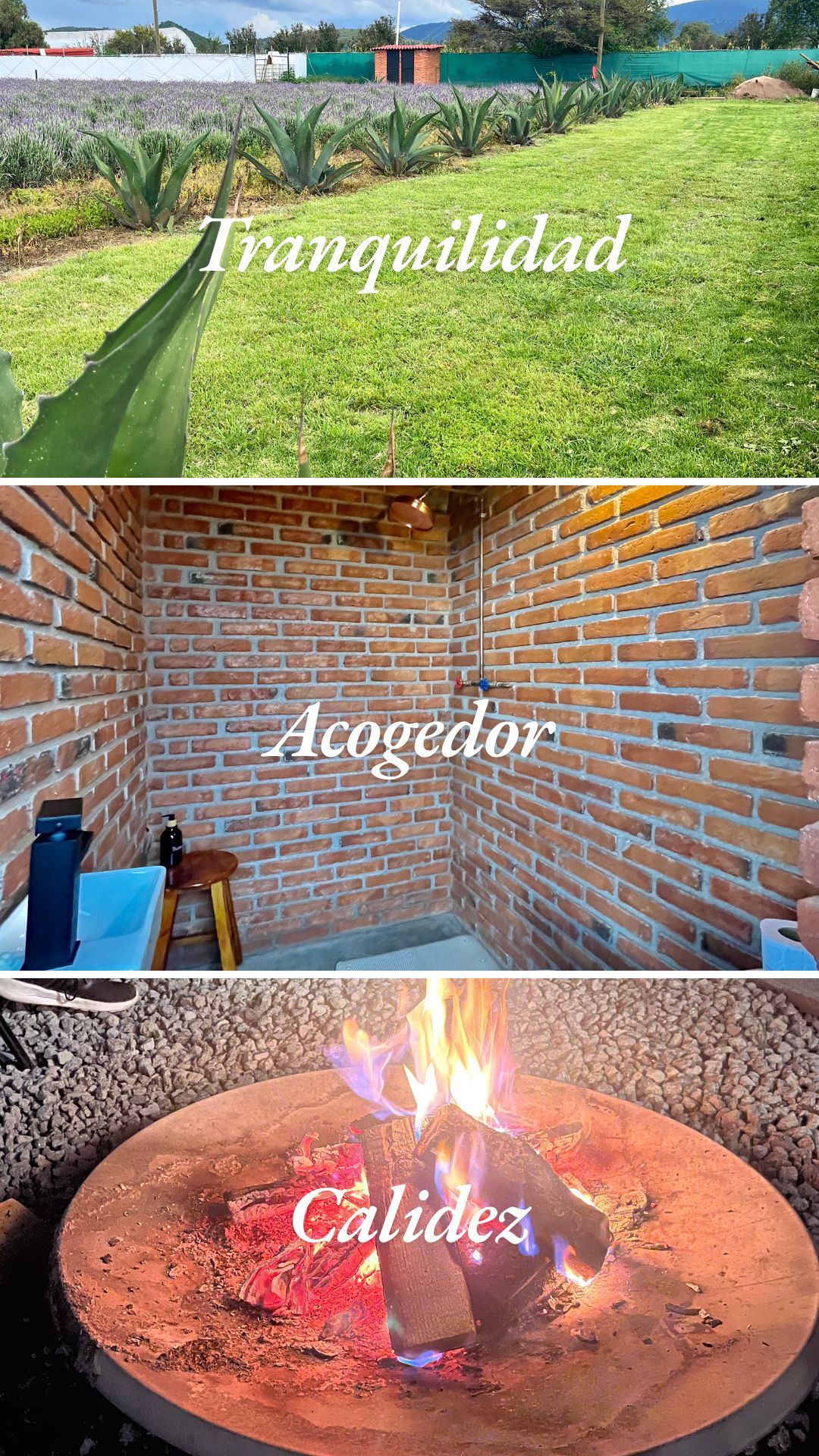 Área para acampar en Rincón de Lavanda